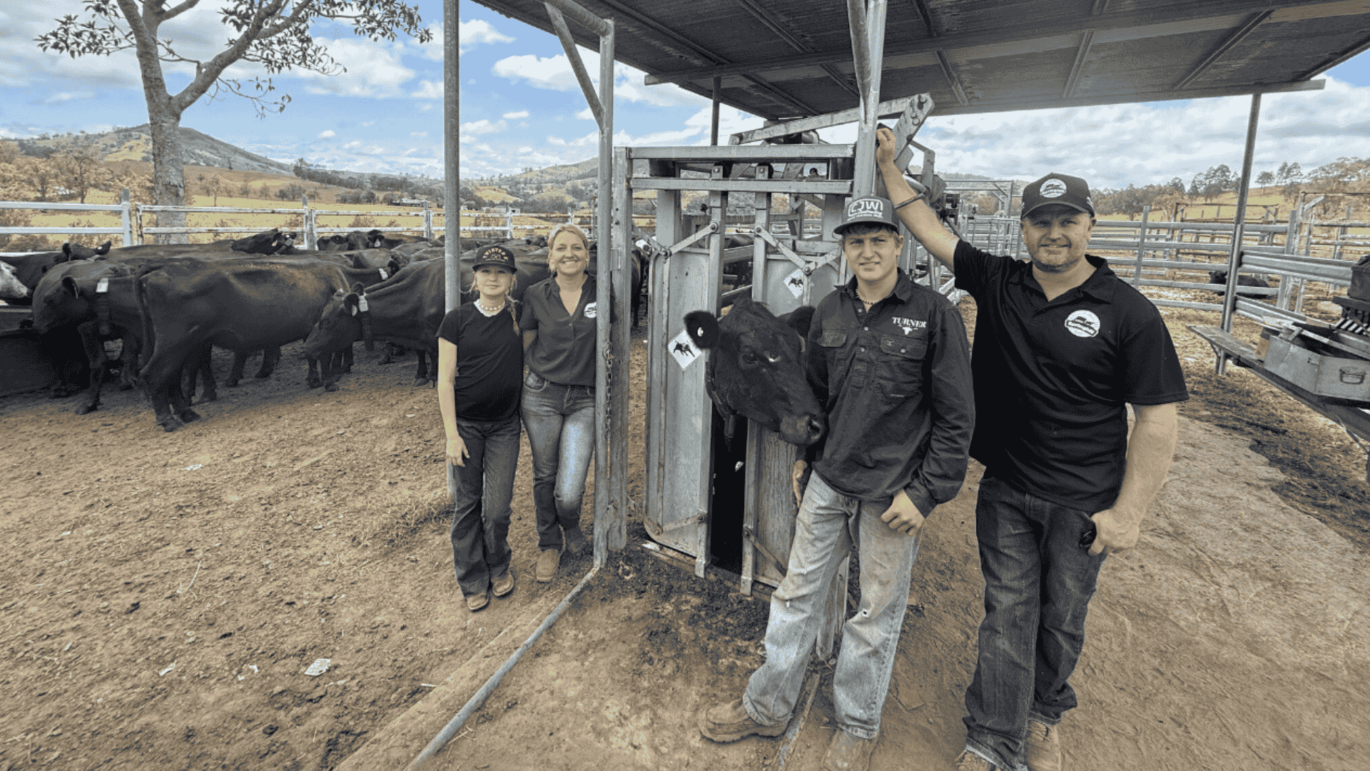 H Skye, Jody, Nate and Adam Turner of Springhill Beef Co, fitting a Halter unit onto one of their cows.