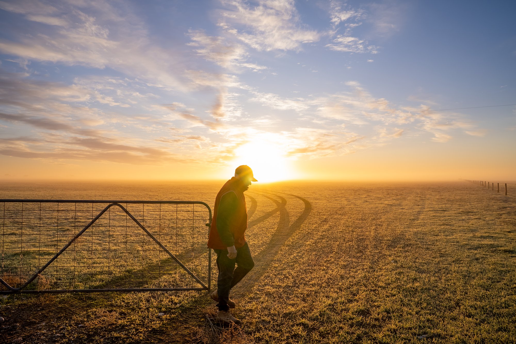 ALMABIN_8488719369_8803972-scaled-watermarked-image-1