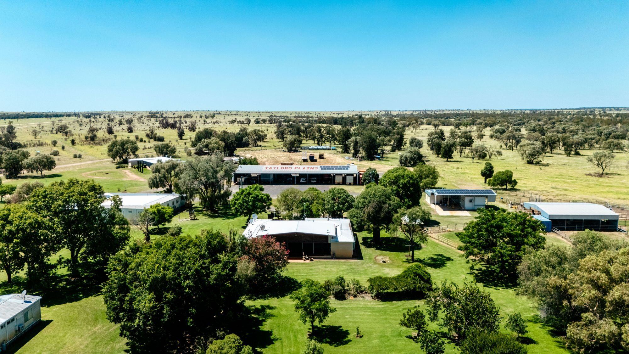 Taylors Plains