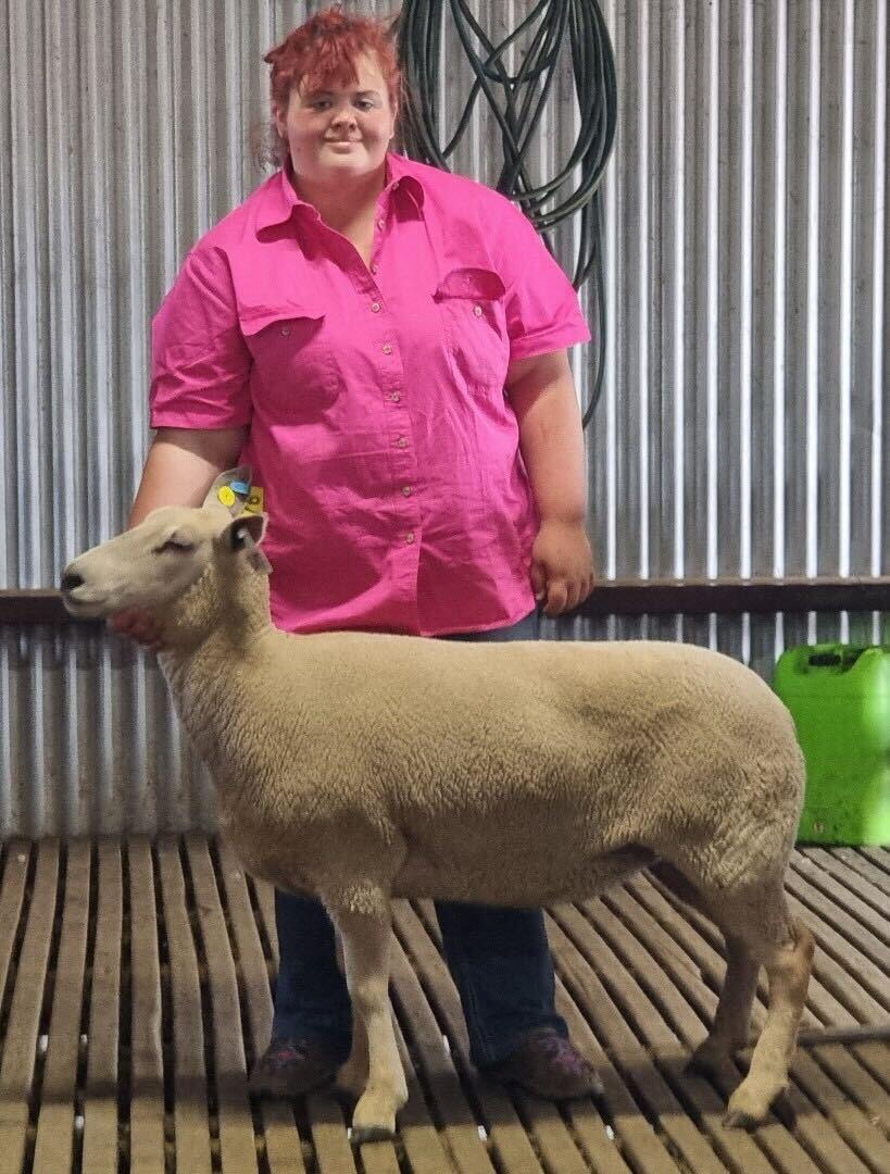 charolais-record-piper