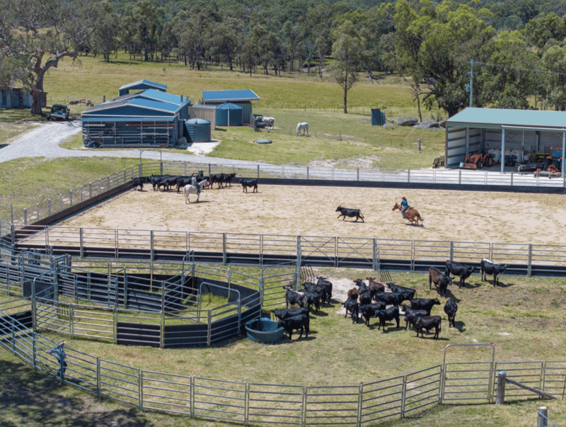 1166 New England Highway Tenterfield 1