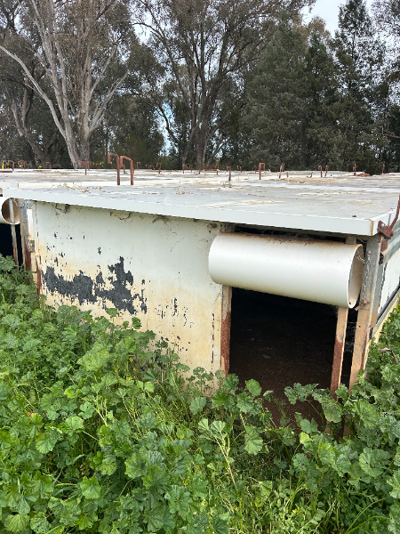 1638962273794911580_115149e4-6be3-4b2e-903a-ee323c549579