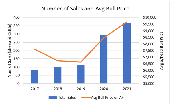 2021 Busiest Stud Season in AuctionsPlus History - Number of Sales and Avg. Bull Price