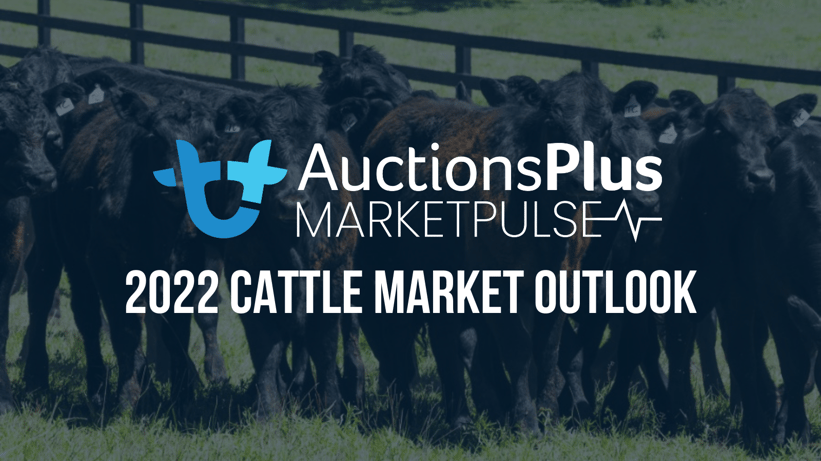 2022 CATTLE MARKET OUTLOOK (1)