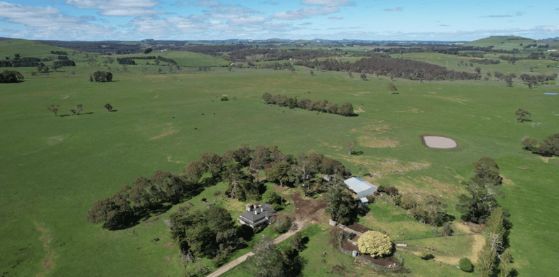 279 Eastern Hill Road, Blampied 1