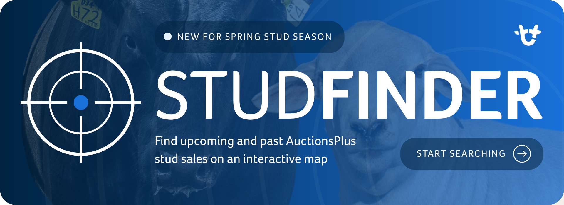 NEW FOR SPRING STUD SEASON - Stud Finder