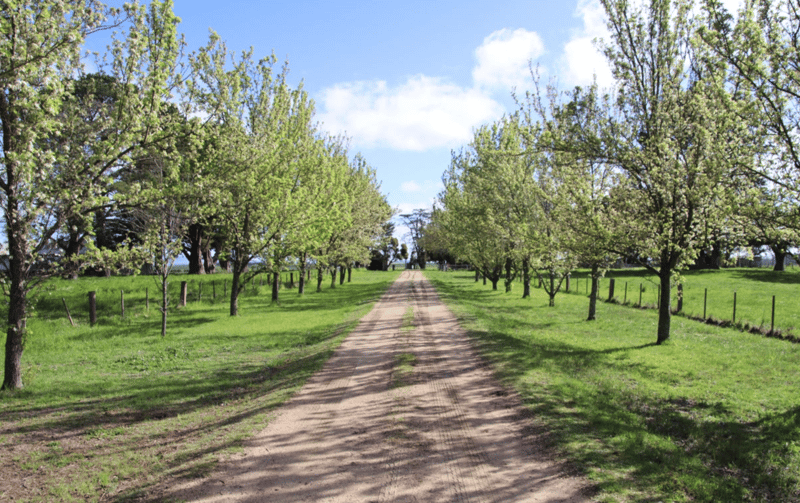 524 Remembrance Drive, Windermere 2