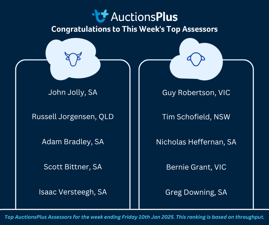 A+  Top AuctionsPlus Assessors (1)