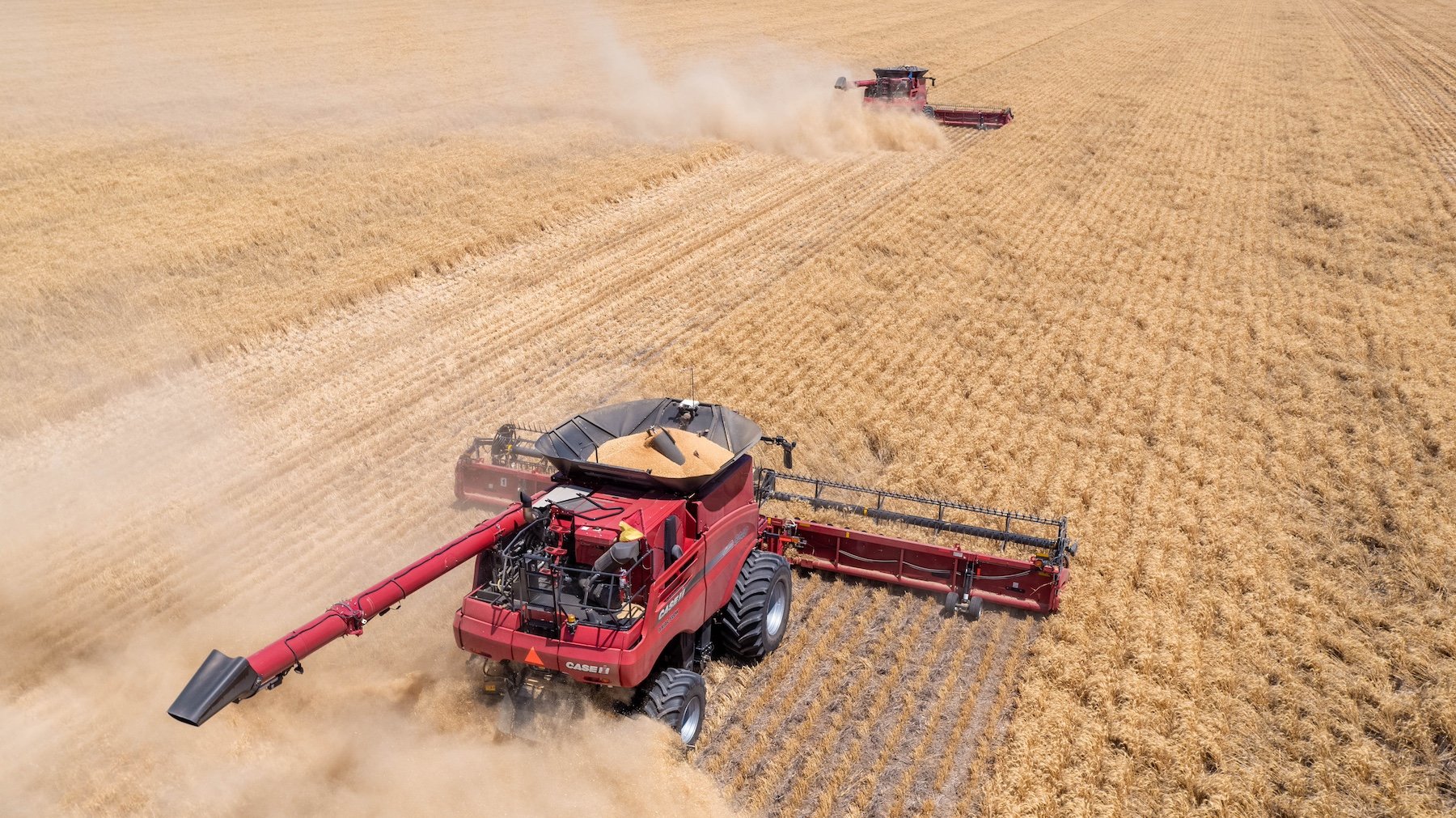 AGRISHOTS_Machinery_header_wheat_CaseIH