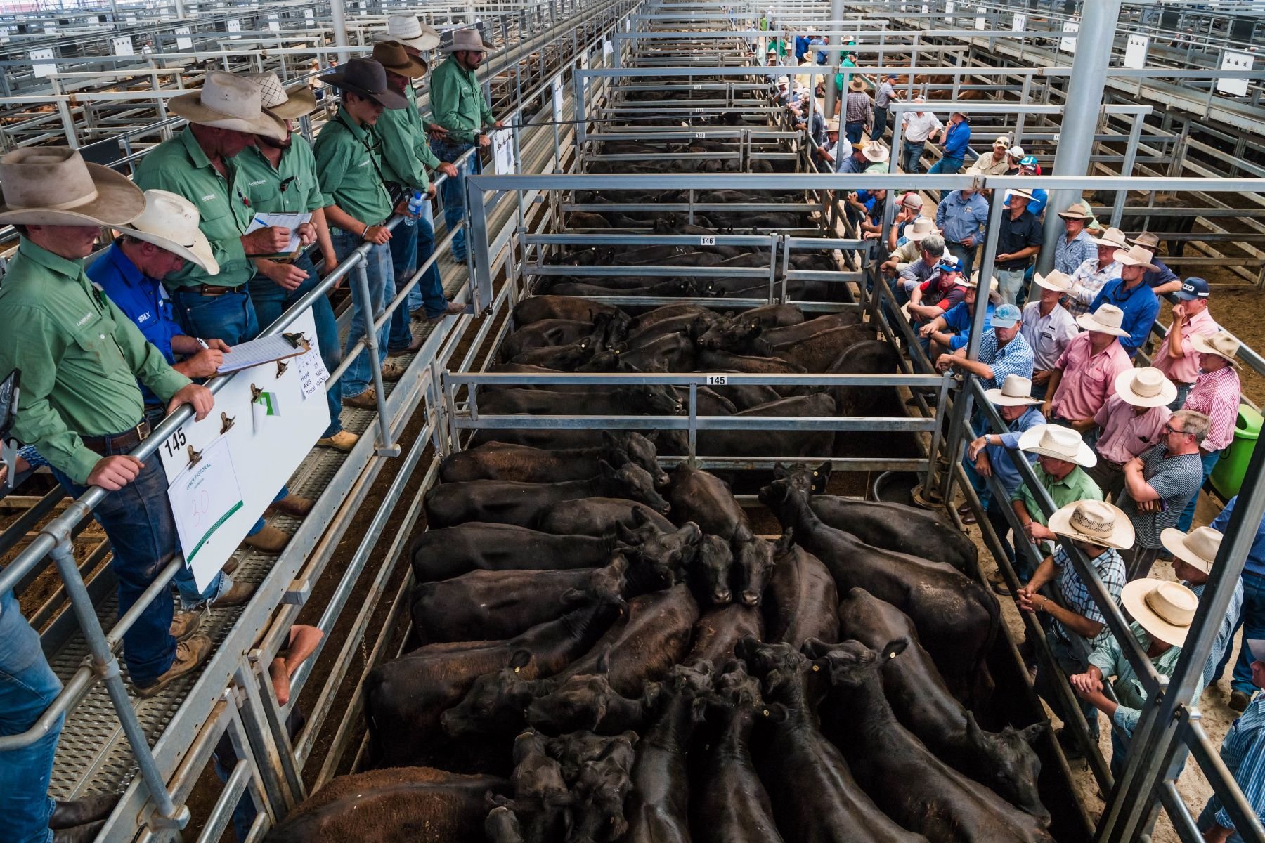 AuctionsPlus