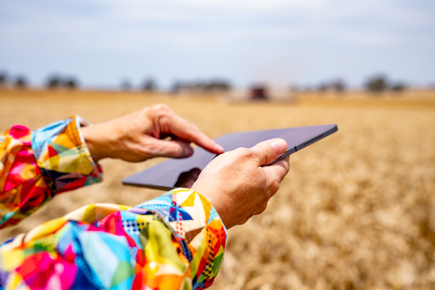 Woman tablet paddock
