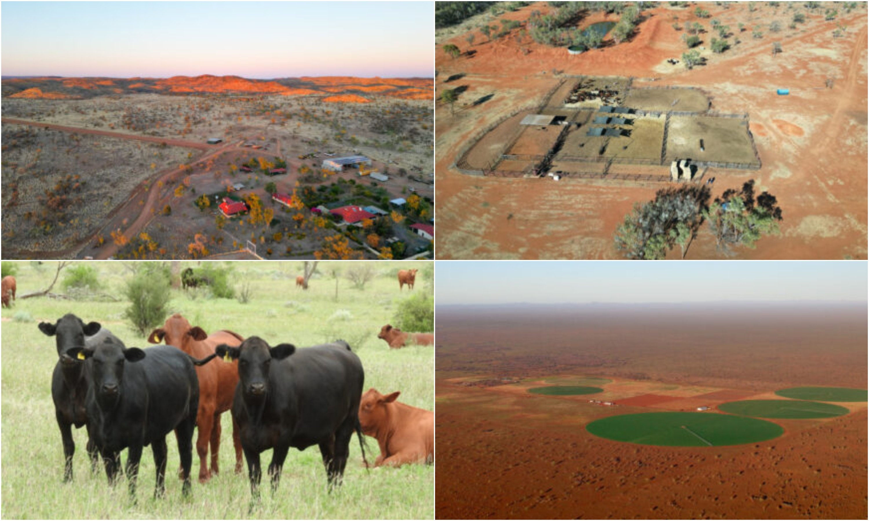 Aileron Station and Oolloo Farm on the market in central Australia