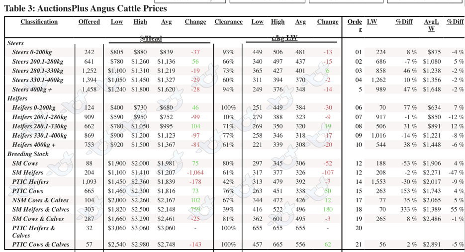 Angus table 2024-02-16 at 2.54.54 pm