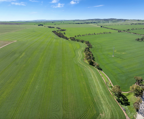 Argyle Farm