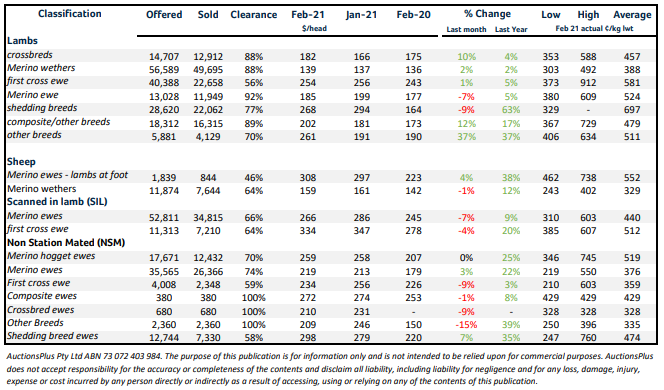Auction Prices Hold Steady for Lambs Sheep During February auctionsplus marketpulse 2