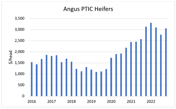 AuctionsPlus Cattle Breed Breakdown_3