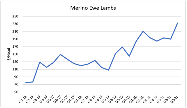 AuctionsPlus Inaugural Sheep & Lamb Breed Breakdown - 1