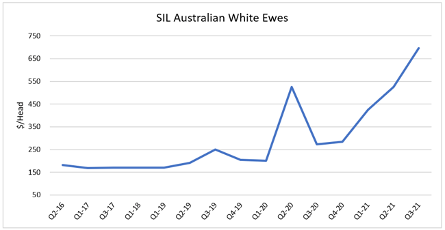 AuctionsPlus Inaugural Sheep & Lamb Breed Breakdown - 4