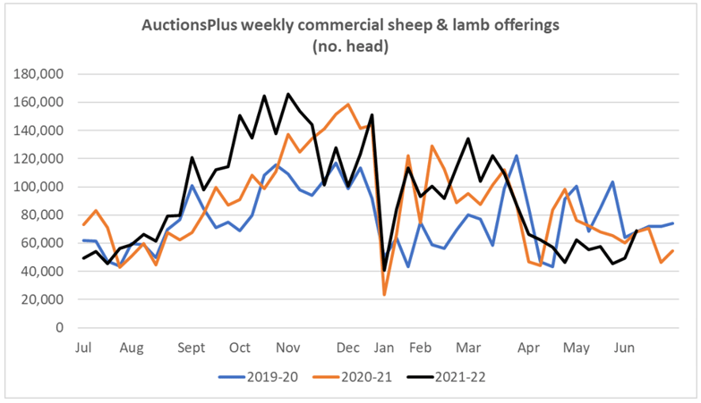 AuctionsPlus Market Comments Sheep and Lamb offerings (no. head) 3.6.22