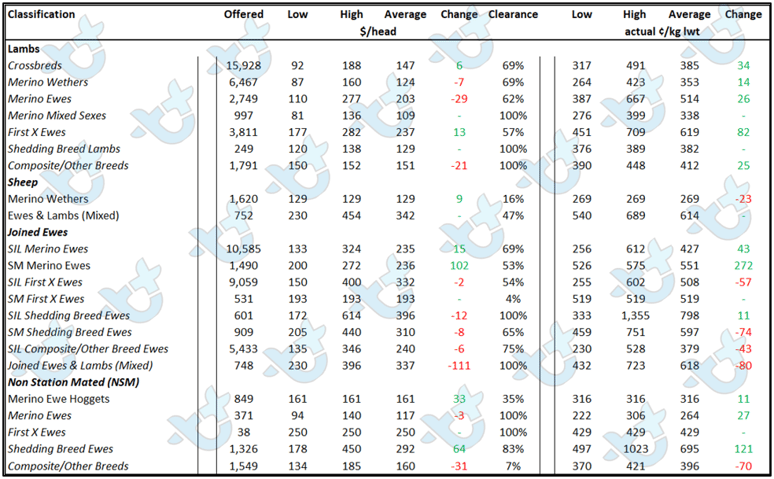 AuctionsPlus Market Comments Sheep and Lamb weekly prices table 6.3.2022 2