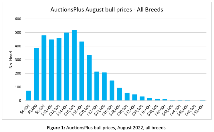 AuctionsPlus MarketPulse Bull Sale Fig 1 31.8.22