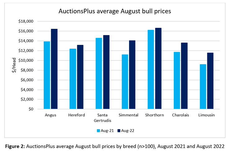AuctionsPlus MarketPulse Bull Sale Fig 2 31.8.22