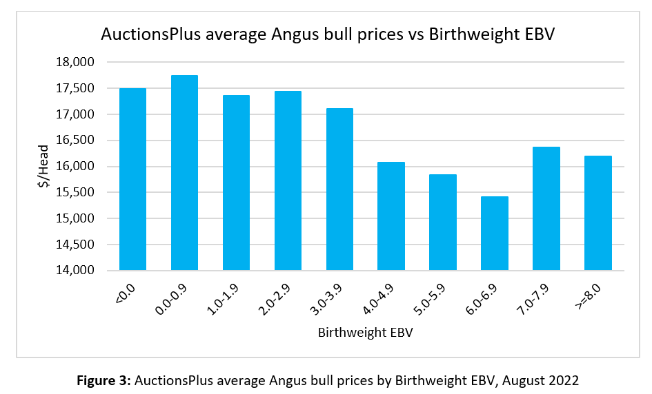 AuctionsPlus MarketPulse Bull Sale Fig 3 31.8.22