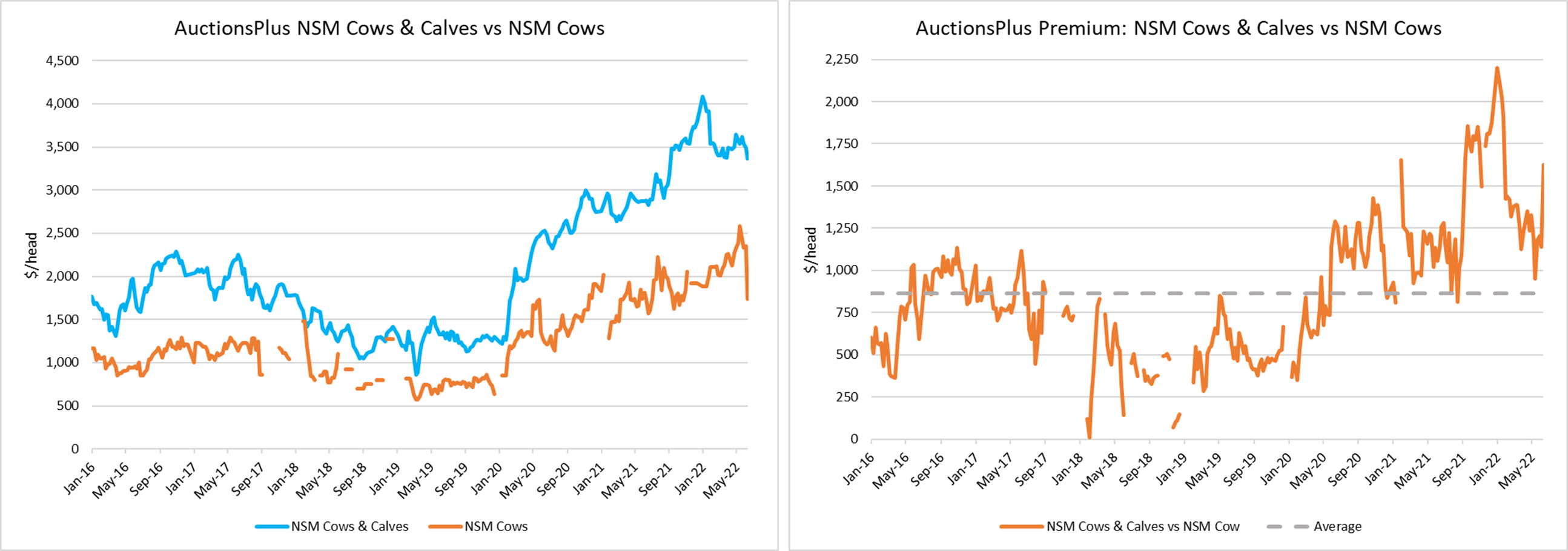 AuctionsPlus The value of “time saved” a crucial factor for rebuilding purchases 3