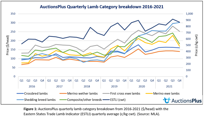 AuctionsPlus lamb Breed Breakdown 0