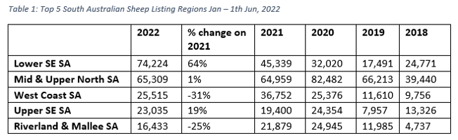 AuctionsPlus markepulse top 5 SA sheep listings 22.6.22-1