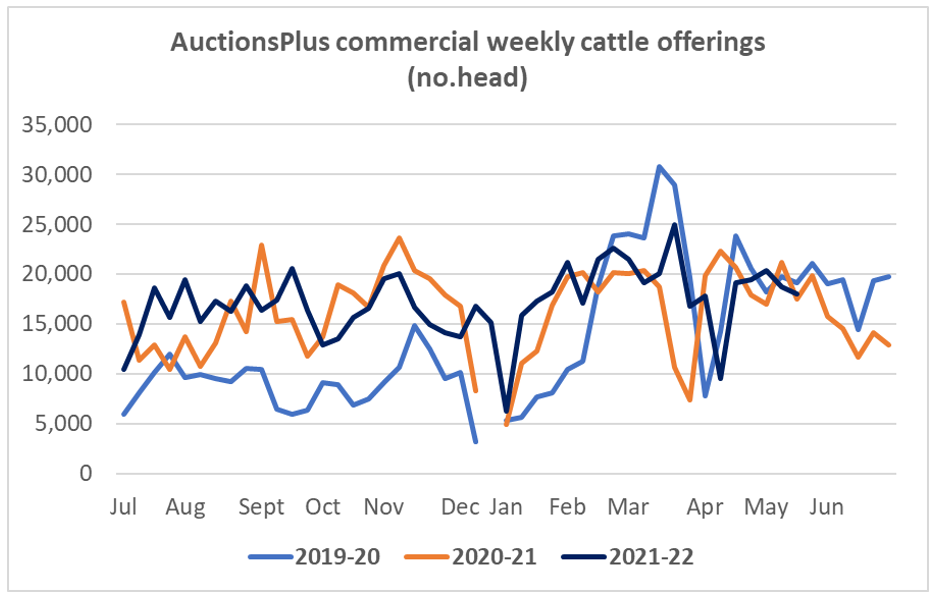 AuctionsPlus market comments 20.5.22 commercial weekly cattle offering