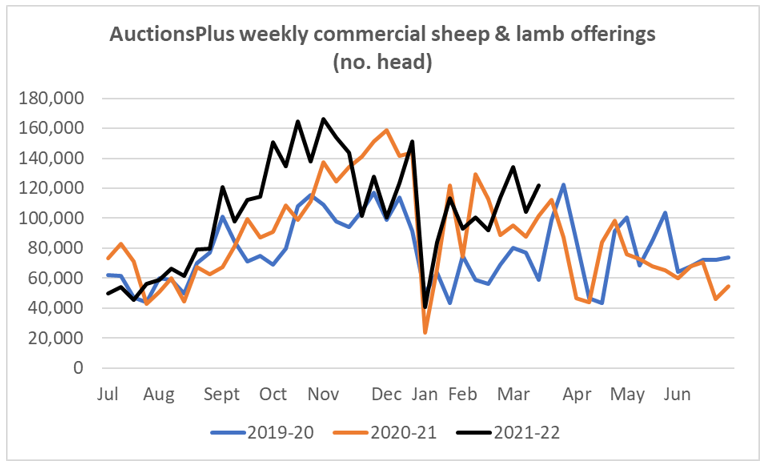 AuctionsPlus weekly commercial sheep and lamb offerings (no of head) 11.3.22