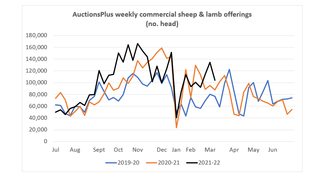 AuctionsPlus weekly commercial sheep and lamb offerings (no of head) 4.3.22