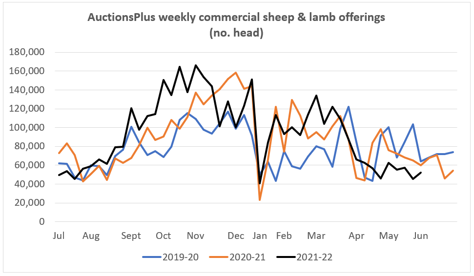 AuctionsPlus weekly commercial sheep and lamb offerings market comments 27.5.22