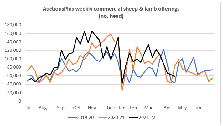 AuctionsPlus wekly commerical sheep and lamb offerings