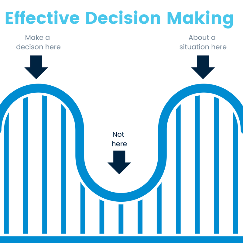 AuctionsPlus_Effective Decision Making_Sheep EDM