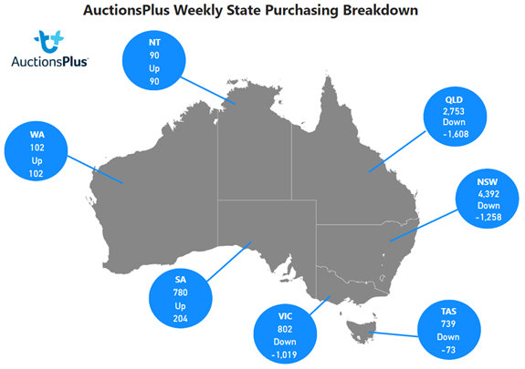 Auctionsplius weekly state purchasing breakdown 9.12.22