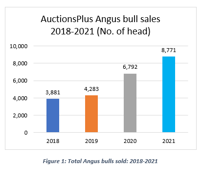 Auctionsplus Angus Bull Sales 2018-2021 (No. of head)