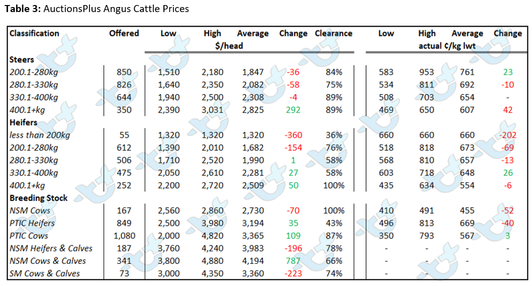 Auctionsplus Angus Cattle Prices Table 1 cattle comments 6.5.22