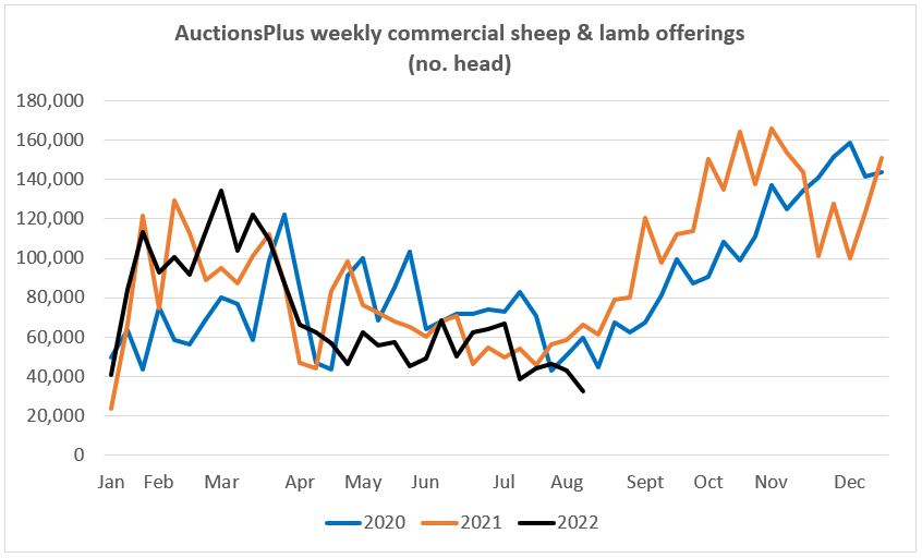 Auctionsplus Market Comments Sheep and lamb offerings 12.8.22