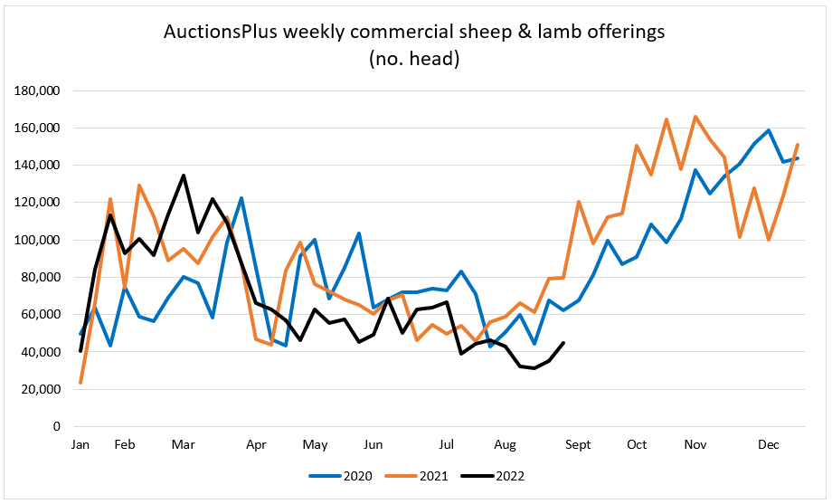 Auctionsplus Market Comments offerings sheep and lamb 2.9.22