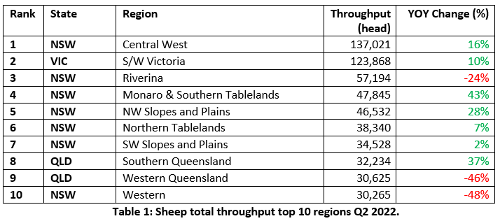 Auctionsplus Market Pulse Sheep total throughput top 10 regions Q2 2022 15.8.22