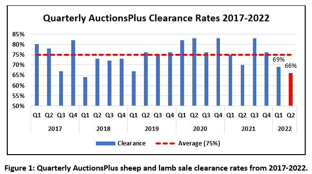 Auctionsplus Market Pulsequarterly sheep and lamb sale clearnce rates 2017-22 15.8.22