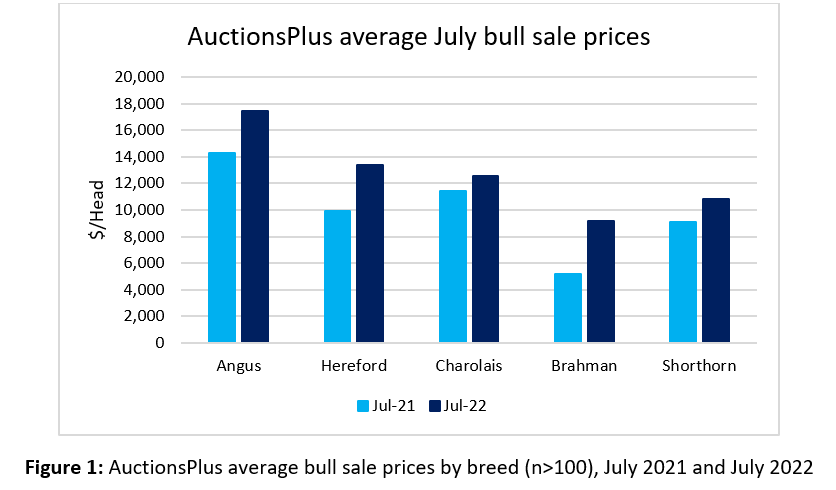 Auctionsplus Market pulse average july bull sales 3.8.22