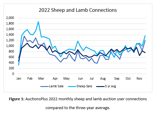 Auctionsplus Marketpulse Auctionsplus 2022 monthly sheep and lamb auction uer connections compareed to the three year average 17.11.22