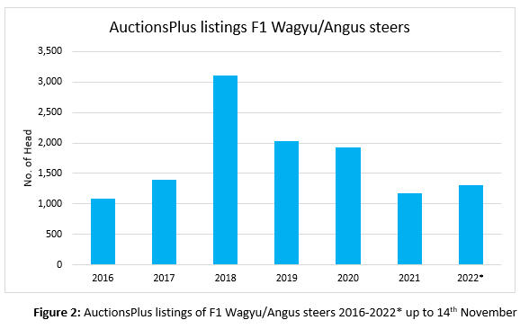 Auctionsplus Marketpulse Auctionsplus listing F1 wagyu angyus steers 17.11.22