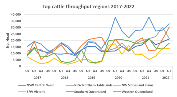 Auctionsplus Marketpulse Top 5 Cattle Throughput Regions 16.8.22-2