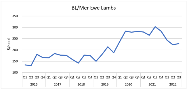 Auctionsplus Marketpulse bl mer 6.10.22