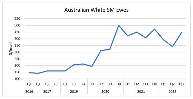 Auctionsplus Marketpulse white sm 6.10.22