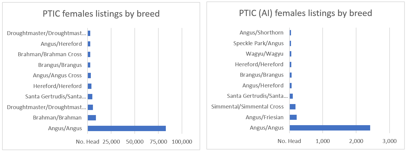 Auctionsplus PTIC females listing by breed vs PTIC AI females listing by breed marketpulse 12.5.22